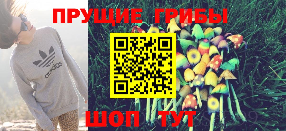 Псилоцибиновые грибы ЛСД  Вход с VPN  Кимовск 